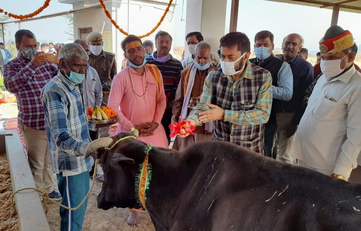 DM worshiped cows after offering fire