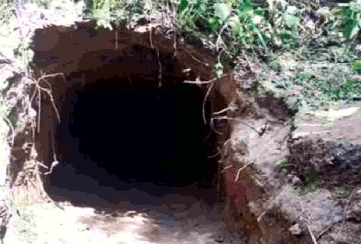 Pakistan trying to keep jammu border active by tunnels and drones says intelligence and BSF analysis