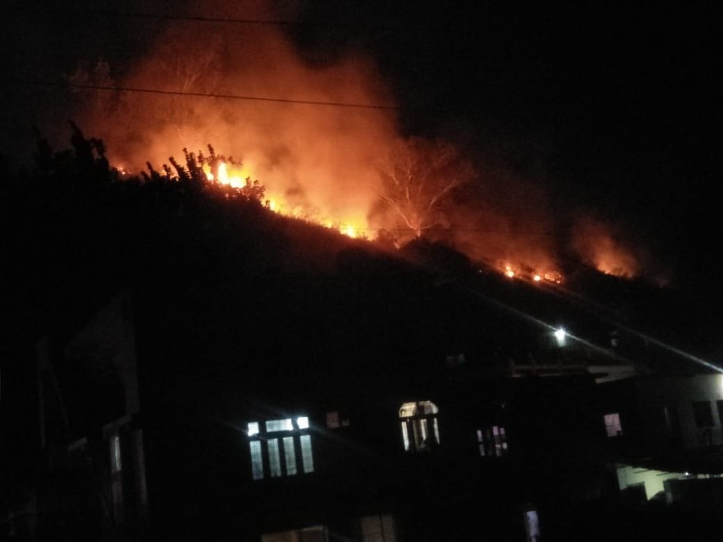 Thuva hill fire, damage to forest wealth