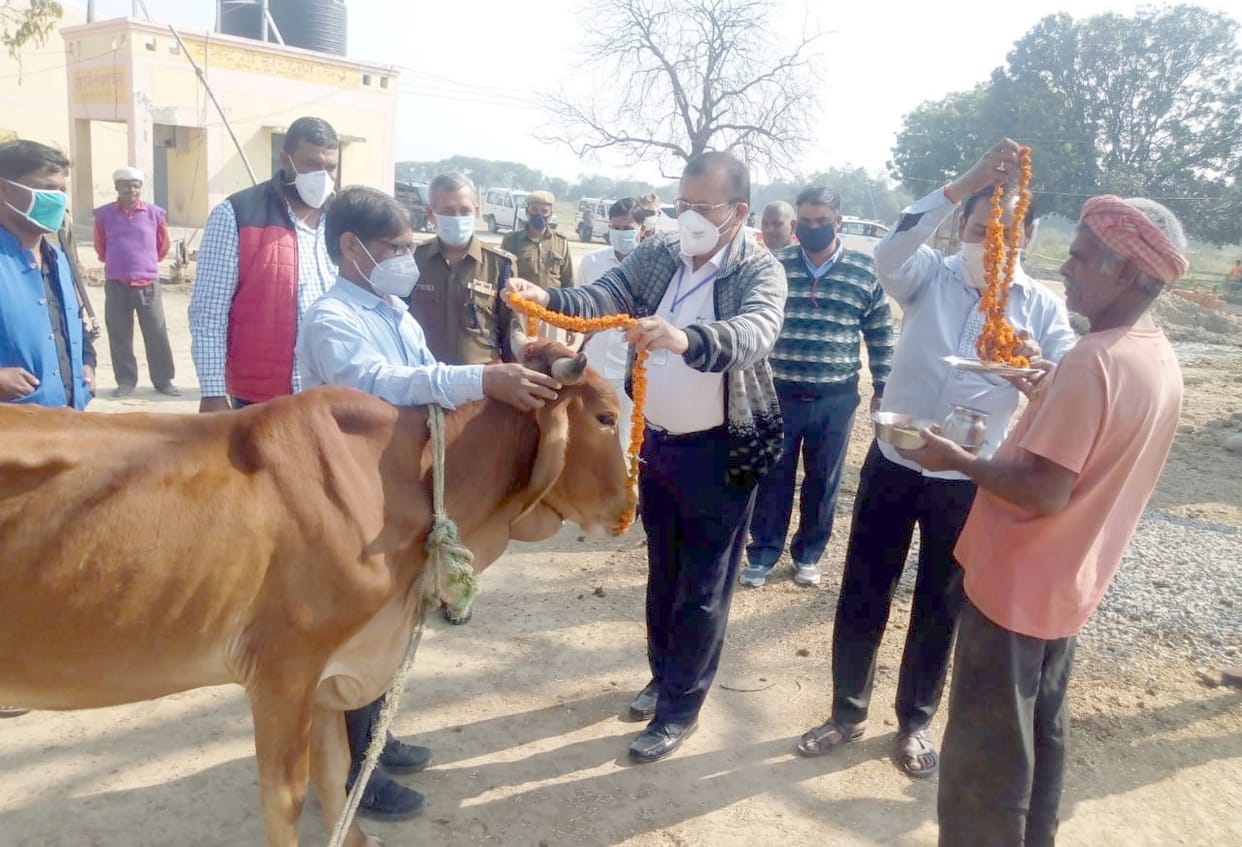 Never disrespect cows: DM