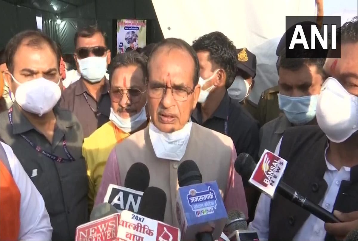 Cow act to be enacted for cow protection in madhya pradesh