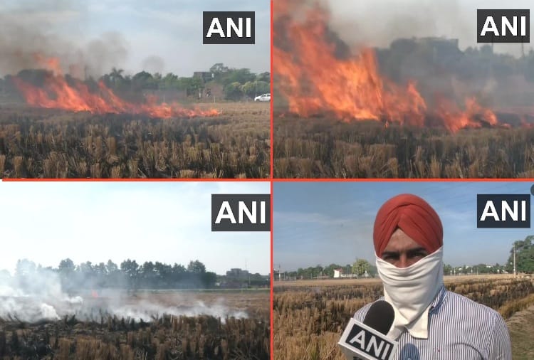 Farmers burn stubble despite strictness in punjab