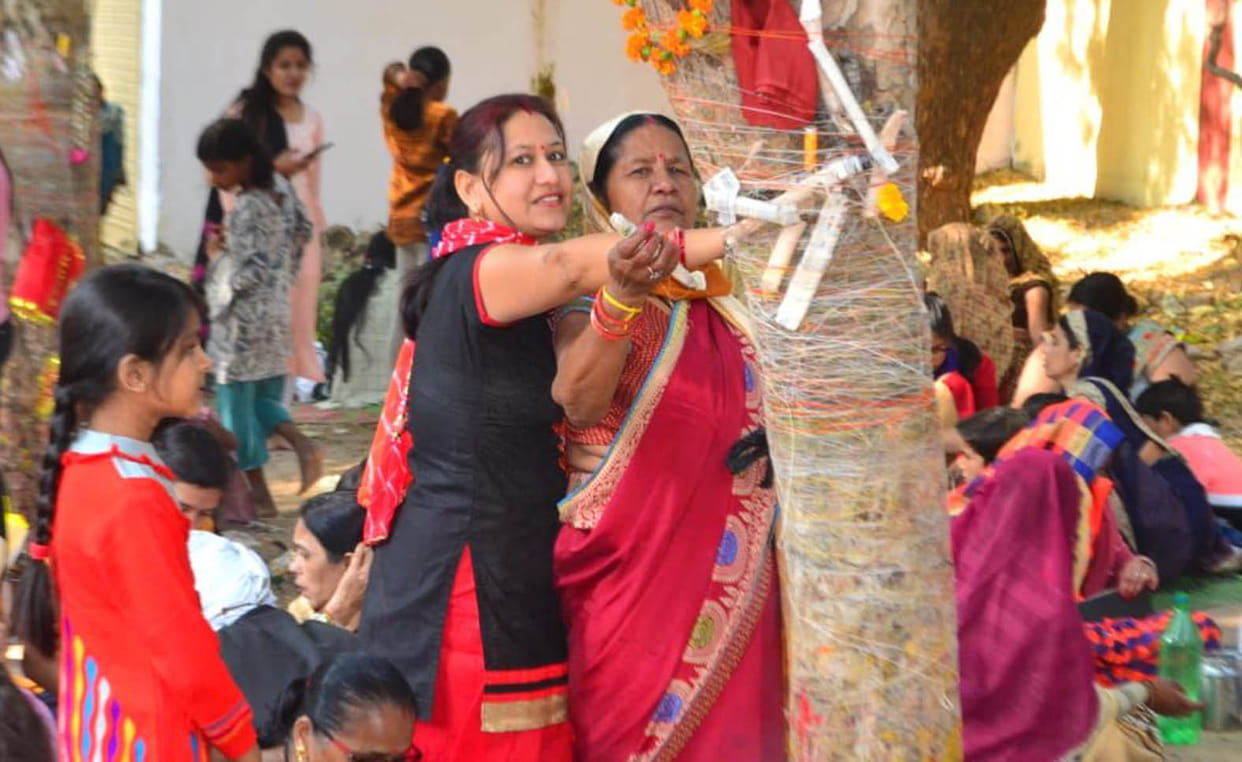 Amla tree revolved and sought happiness