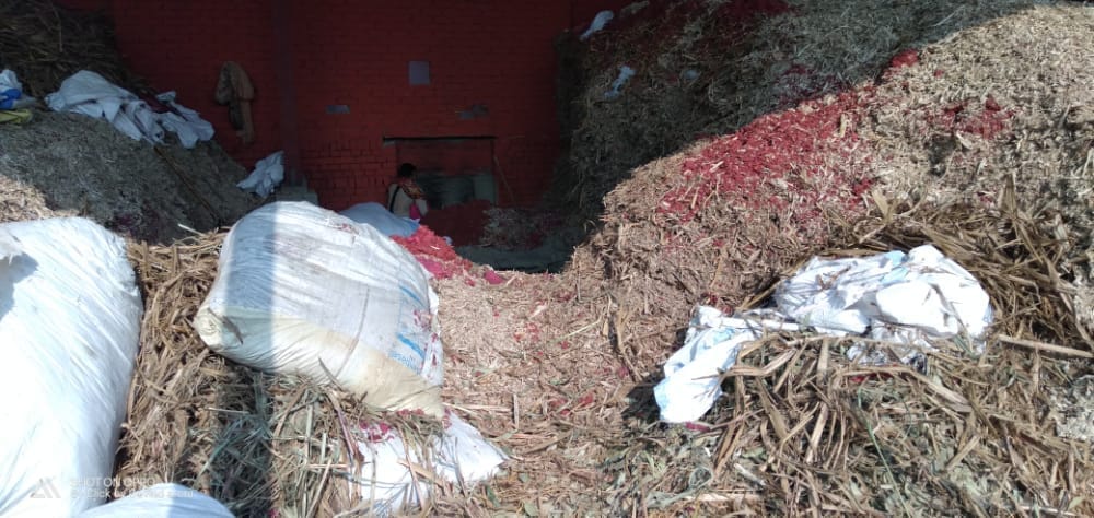 Plastic waste being poured into the crusher