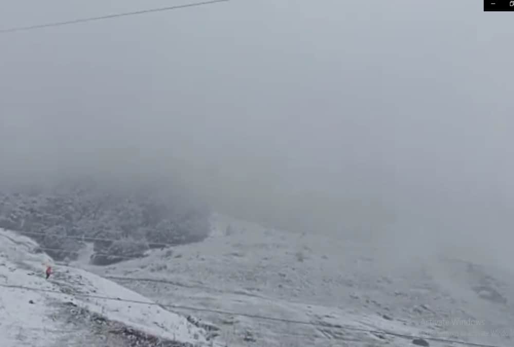 Uttarakhand Weather Latest News: Tourist Enjoy Fresh Snowfall in Auli, See Awesome Visuals