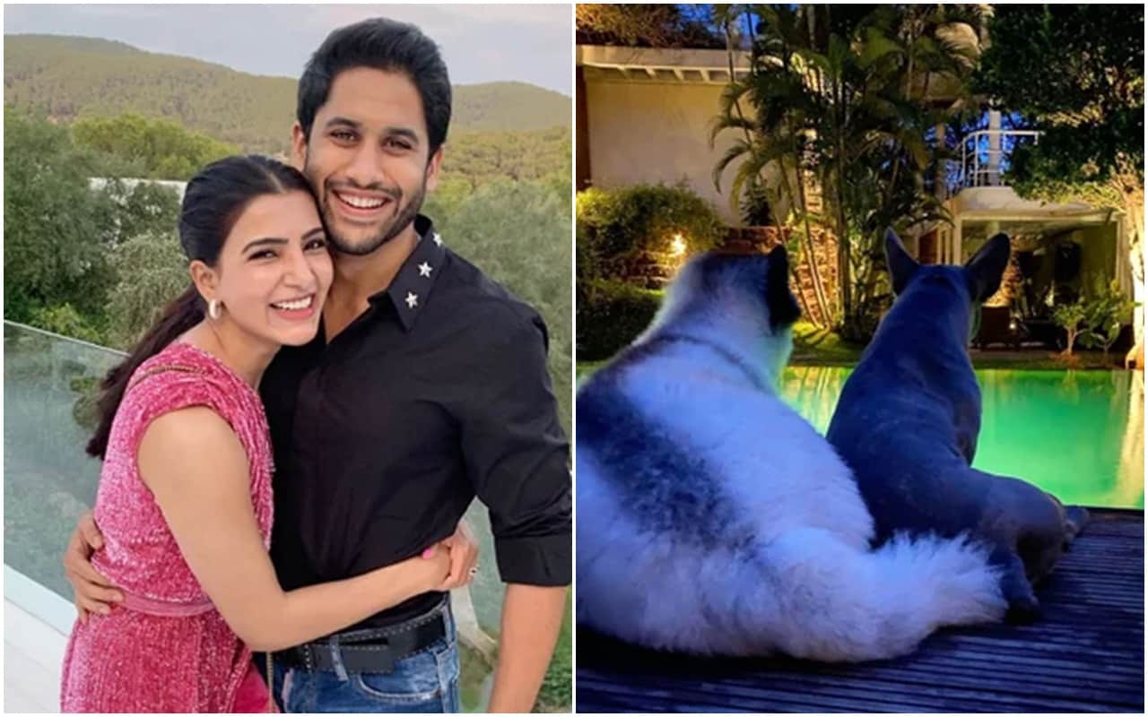 Inside photos of Naga Chaitanya and Samantha Akkineni luxurious Hyderabad house
