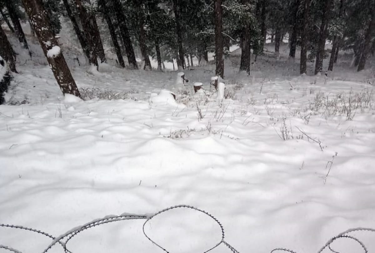 heavy snowfall in jammu kashmir Srinagar records 3 degree celsius temperature