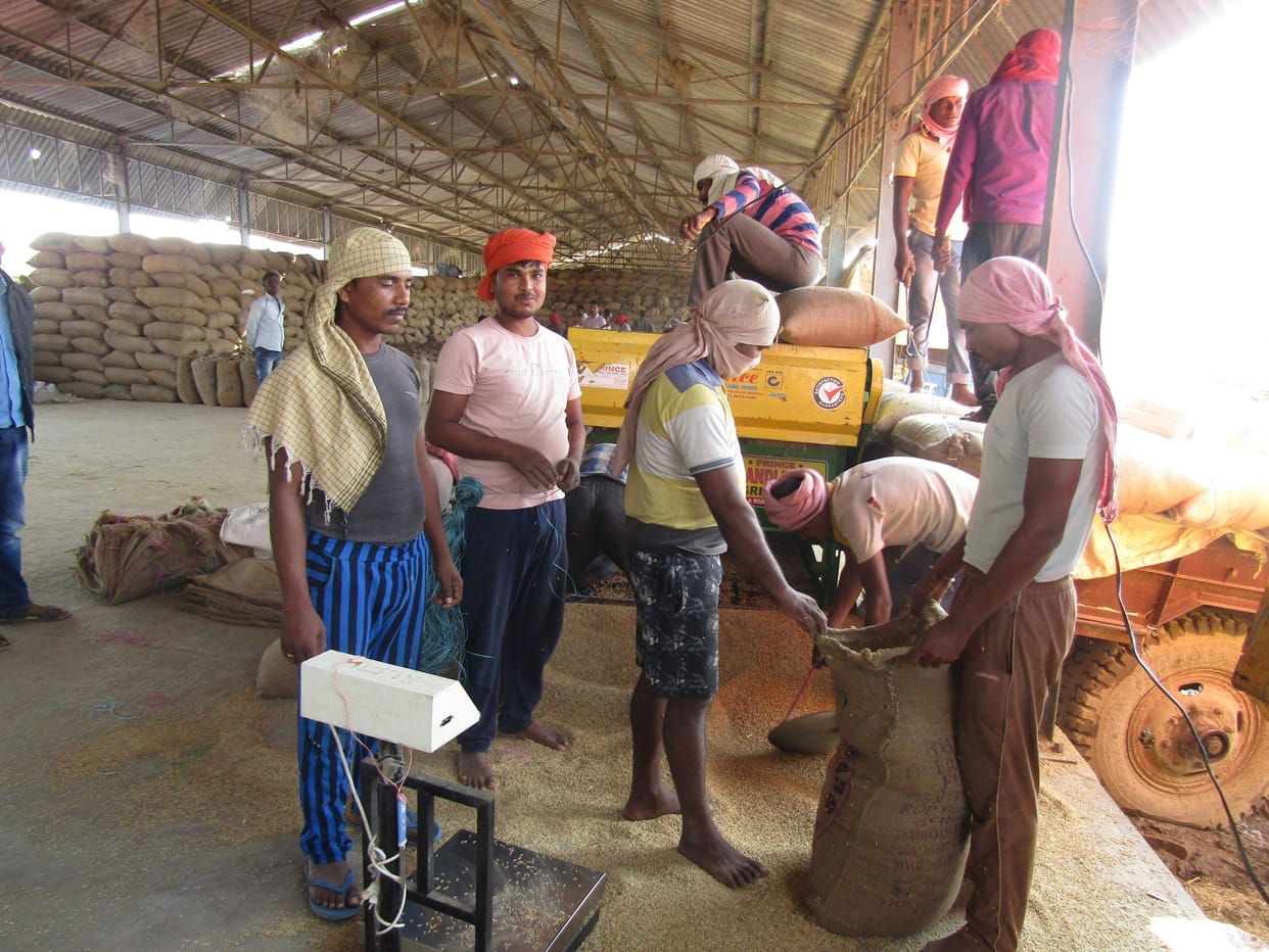 Farmers guarding paddy at purchasing centers