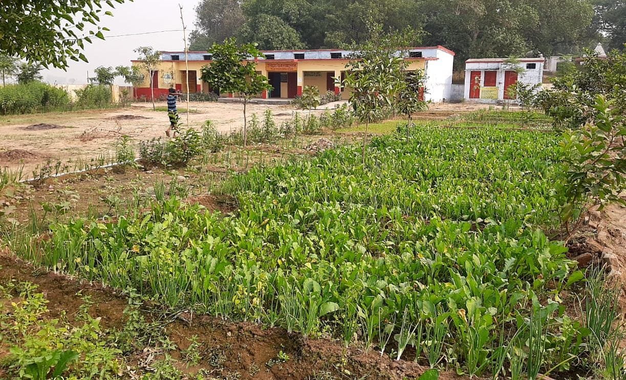 kitchen garden becomes good for school