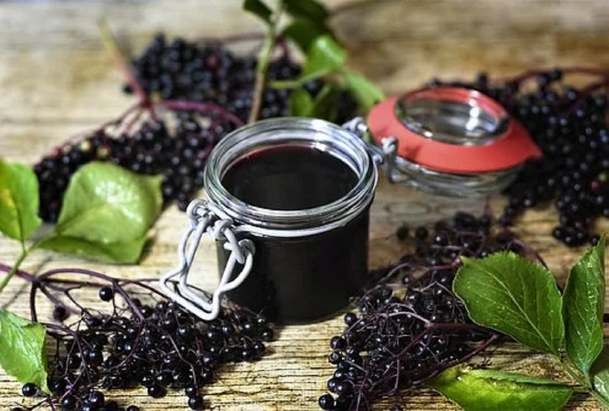 Coronavirus new study found that green tea cranberry juice and pomegranate juice have the potential to kill the covid 19 virus