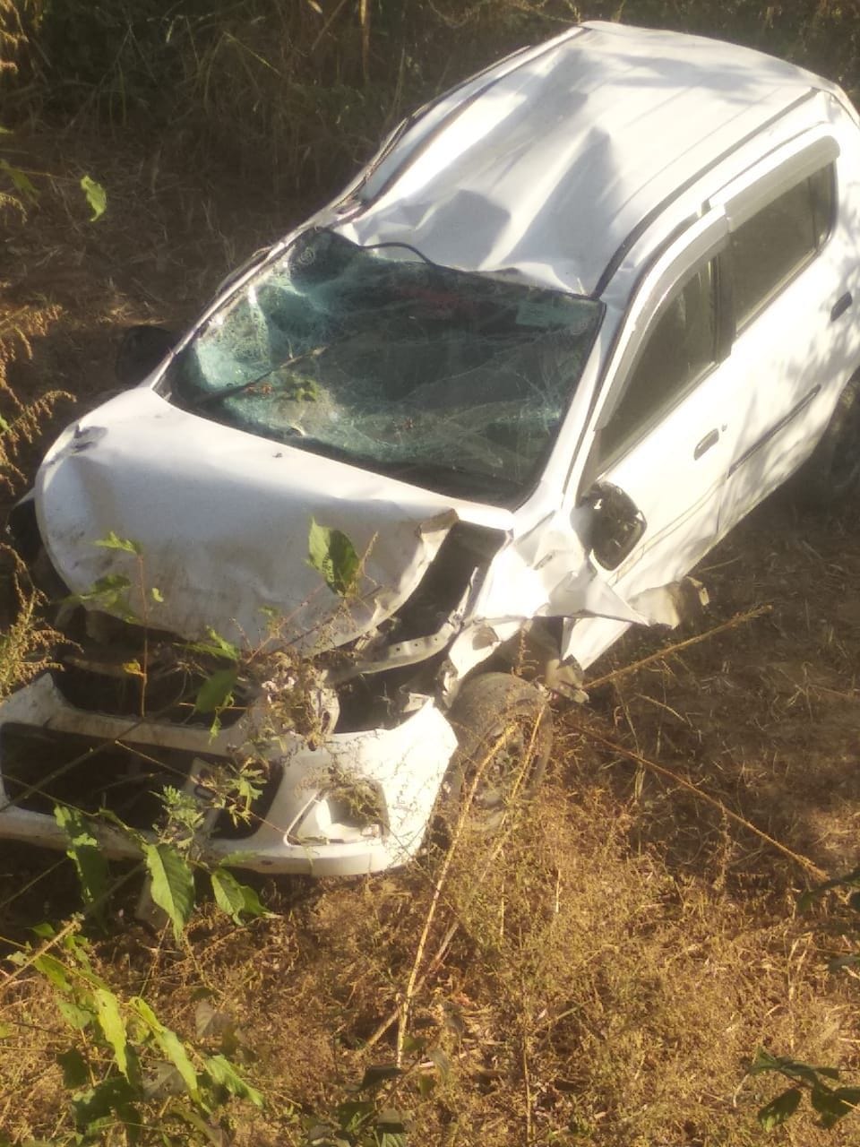 Car fell into a ditch, old woman died