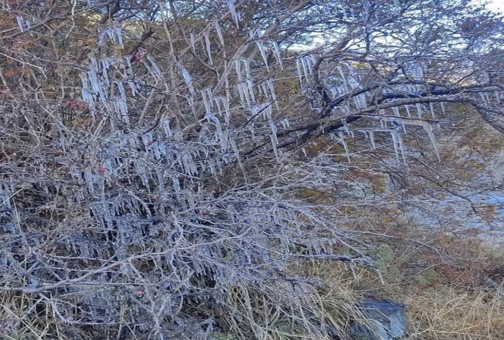 India china Border Latest News: Road Construction Work Stop Due to Snowfall, Water Freeze Photos