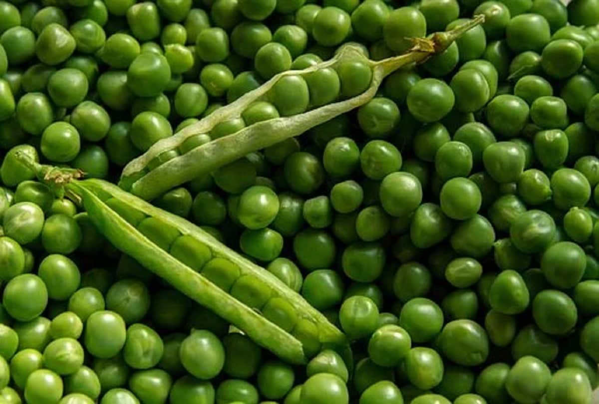 eat healthy diet in low budget with this ways