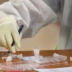 coronavirus demo