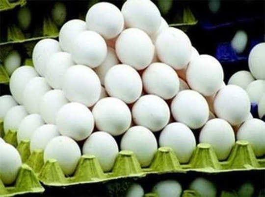 Saharanpur will become the hub of egg production