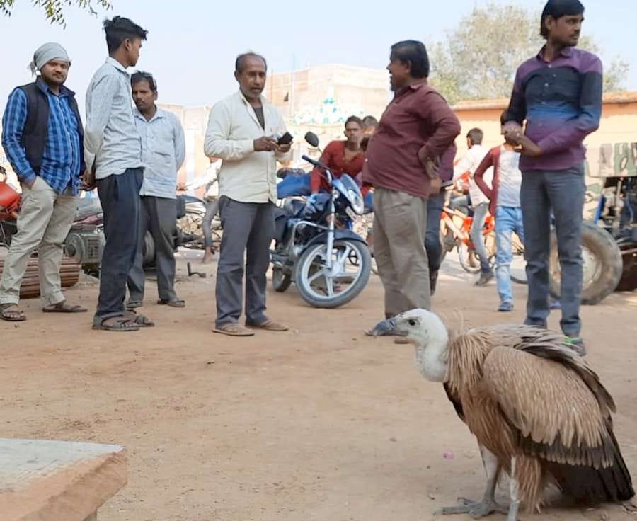 mahoba