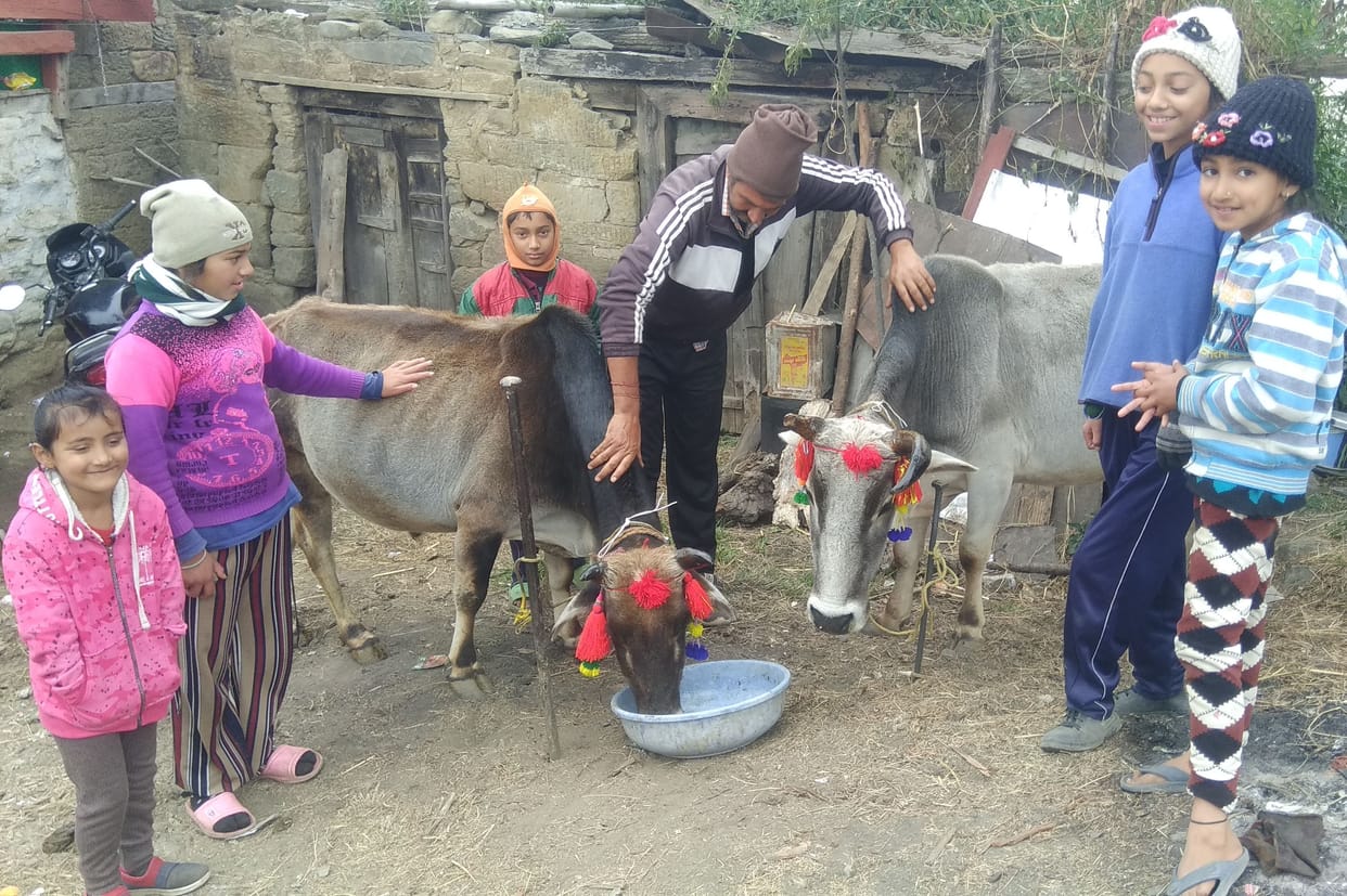 Igas Ekadashi festival celebrated with great pomp in Champawat district