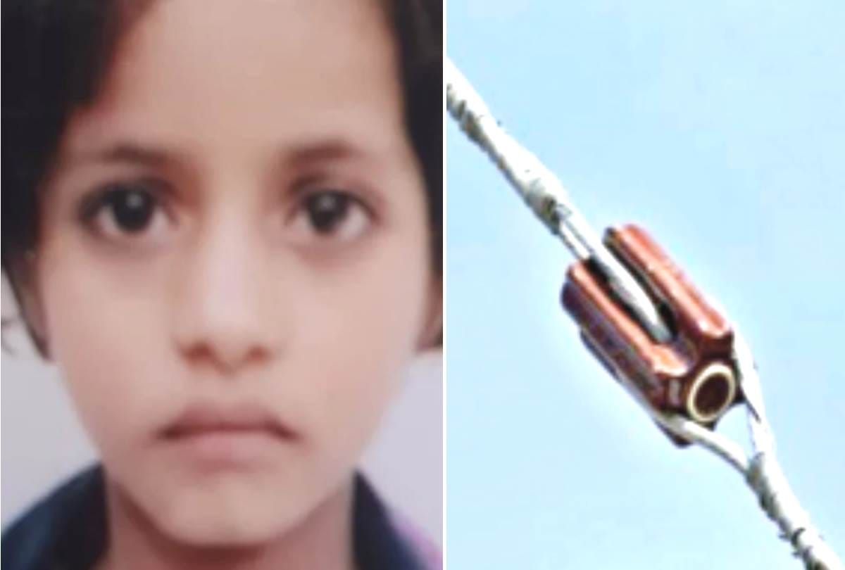 20 rupees insulator could have saved the life of innocent Ishik