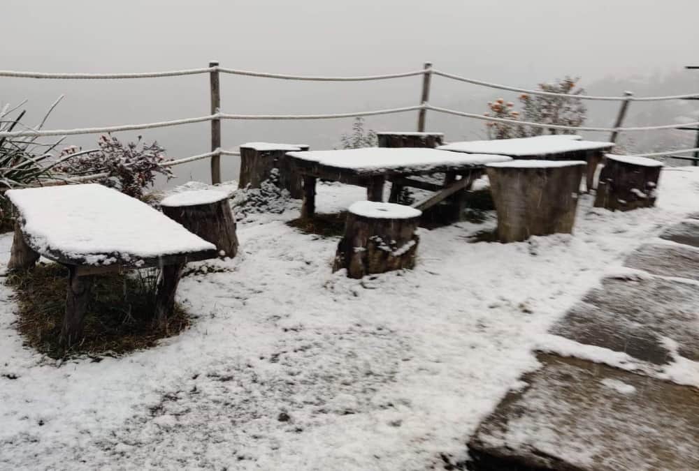 Uttarakhand Weather Latest News: Tourist Enjoy Fresh Snowfall in Auli, See Awesome Visuals