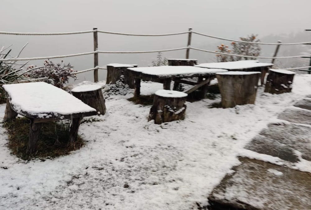 Uttarakhand Weather Latest News: Tourist Enjoy Fresh Snowfall in Auli, See Awesome Visuals