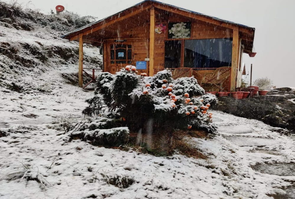 Uttarakhand Weather Latest News: Tourist Enjoy Fresh Snowfall in Auli, See Awesome Visuals
