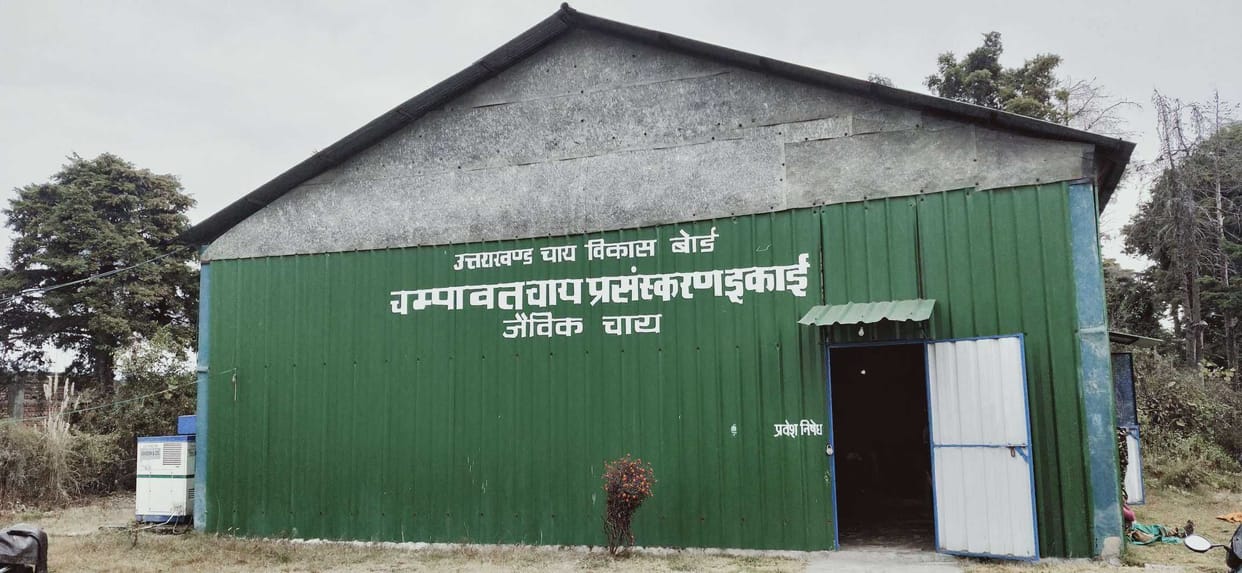 Far from being a tea factory, building work has not started in three years