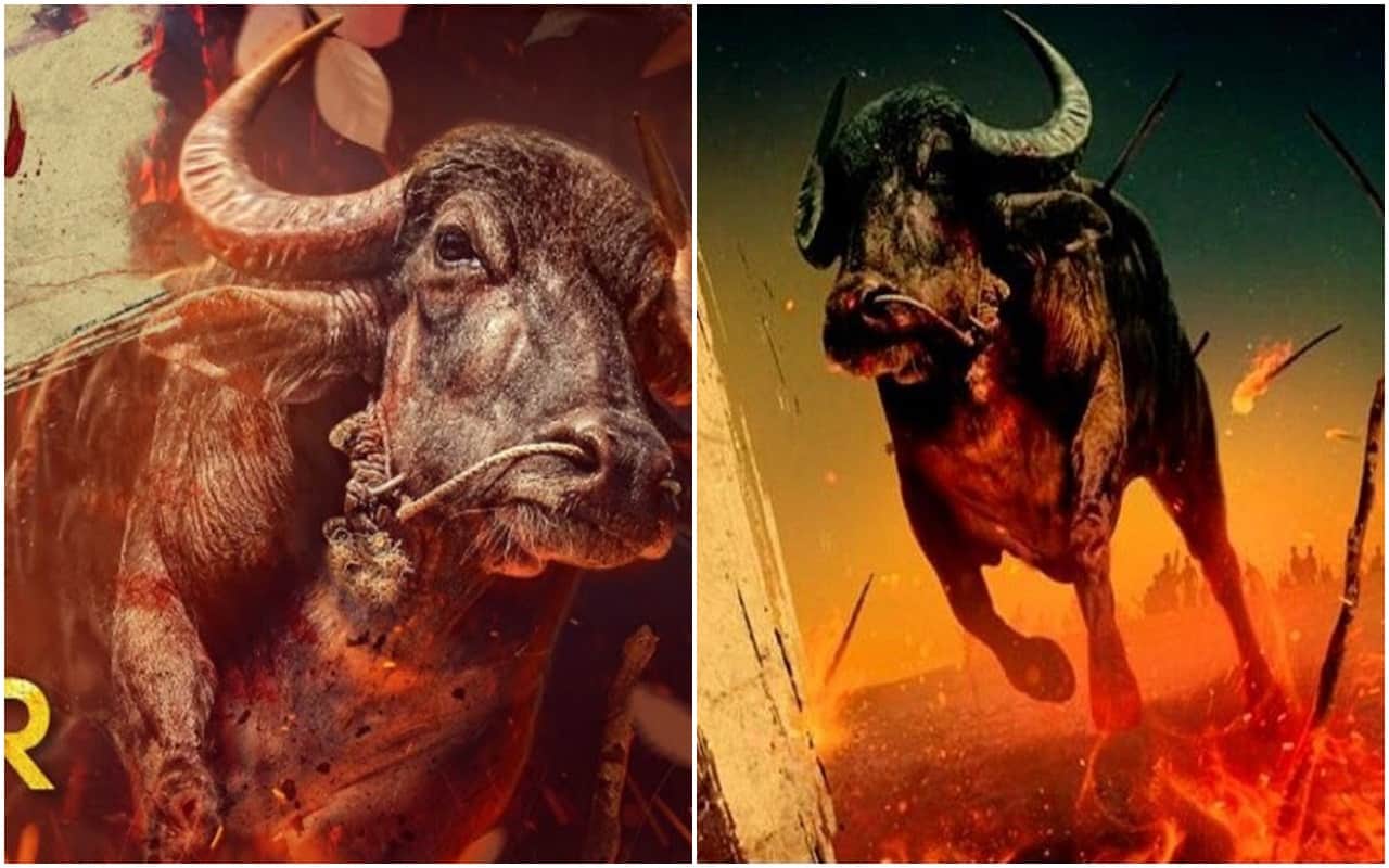 today five news of Arjun Rampal Shweta Tiwari Poonam Pandey Jallikattu and International Bhojpuri Film Awards