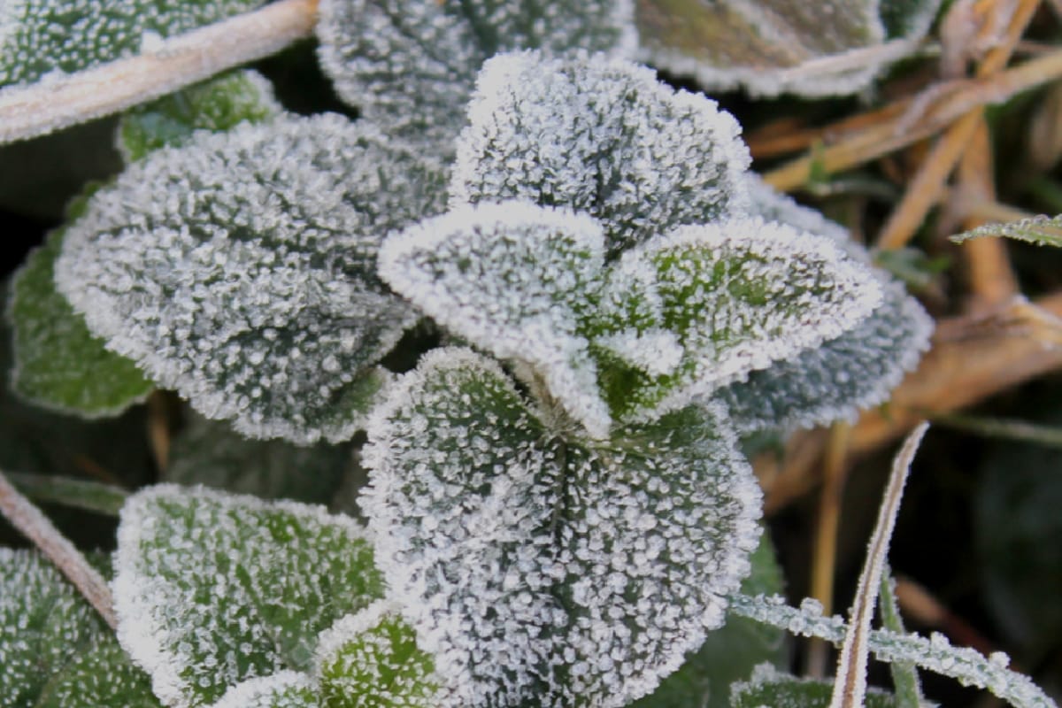 weather news: winter starts, Monday night was coldest night in eight years