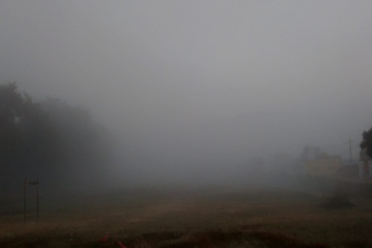 Weather Update: Fog stopped, cold wave shook, Sunday was the coldest season