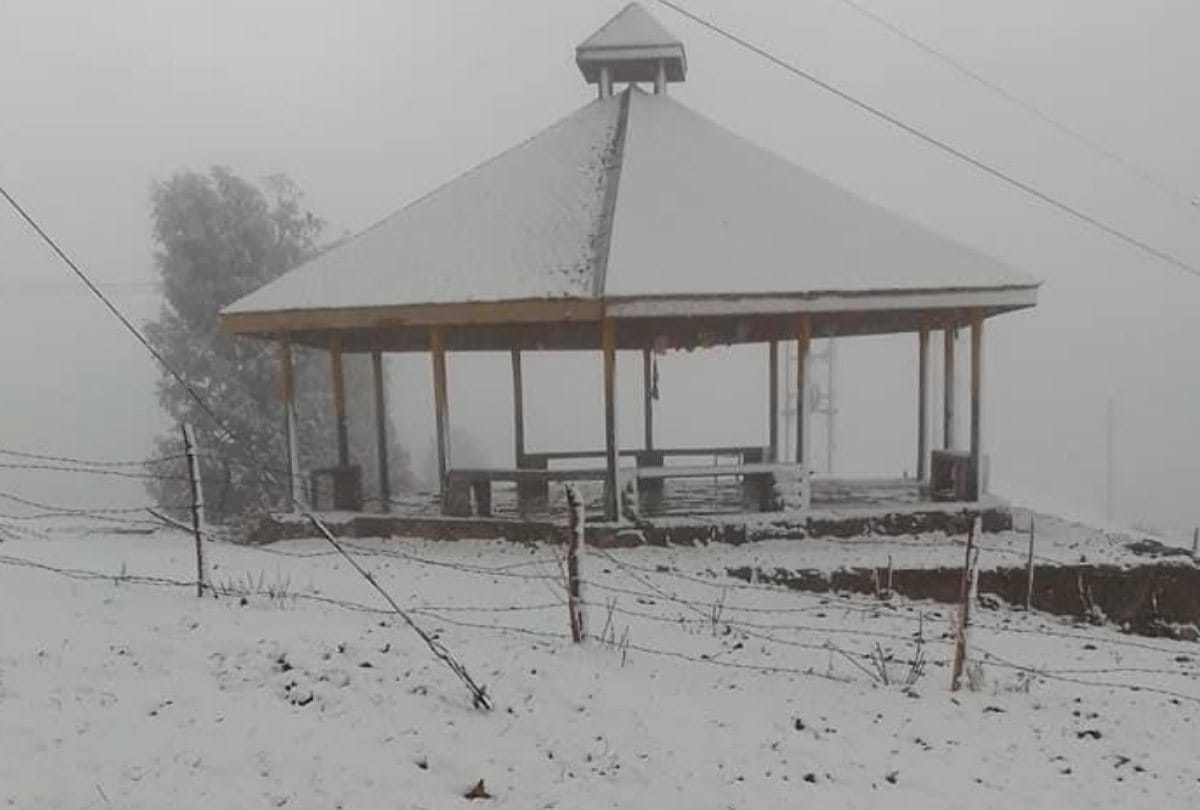 fresh snowfall in Khajjiar  hill station lahaul dhundi in himachal pradesh