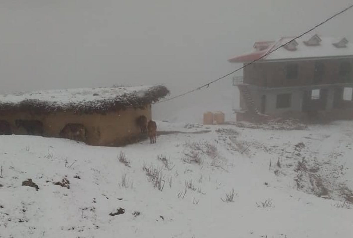 fresh snowfall in Khajjiar  hill station lahaul dhundi in himachal pradesh