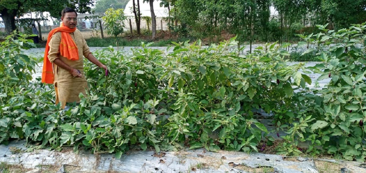 When UP vidhayak ji put knowledge in farming now became farmers of jafrabad mla in jaunpur