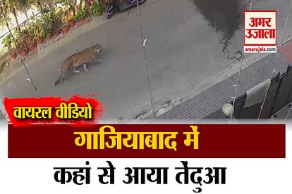Ghaziabad: Leopard roaming in VIP area, caught in CCTV