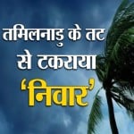 निवार