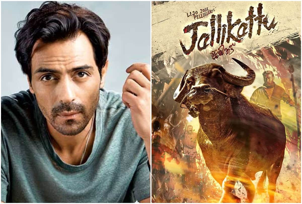 today five news of Arjun Rampal Shweta Tiwari Poonam Pandey Jallikattu and International Bhojpuri Film Awards