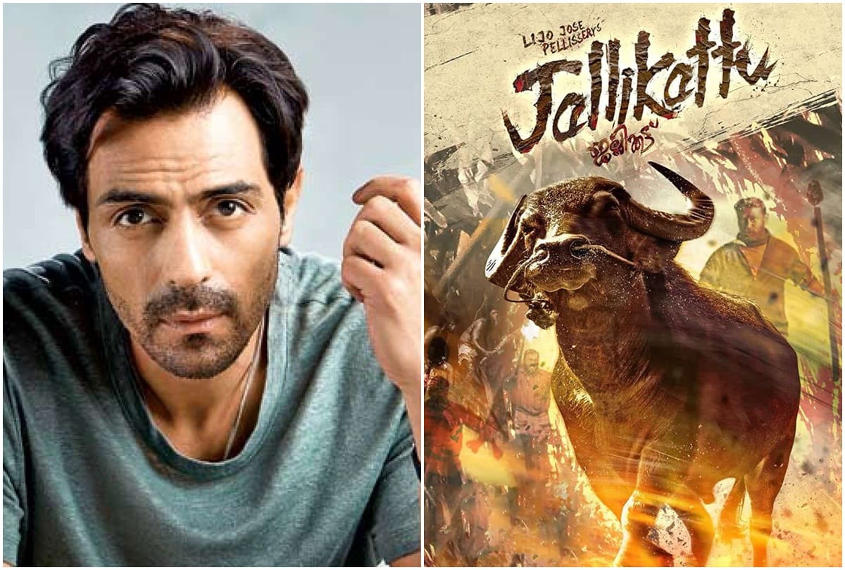 today five news of Arjun Rampal Shweta Tiwari Poonam Pandey Jallikattu and International Bhojpuri Film Awards
