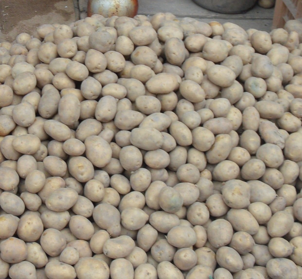 Hathras: Prices of vegetables are touching the sky
