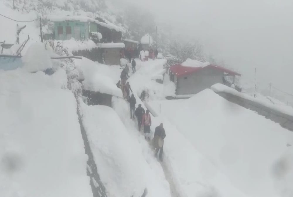 Uttarakhand Weather News Update in Hindi: Groom Walked with Bharat During Snowfall For Marriage in Uttarkashi, Visuals