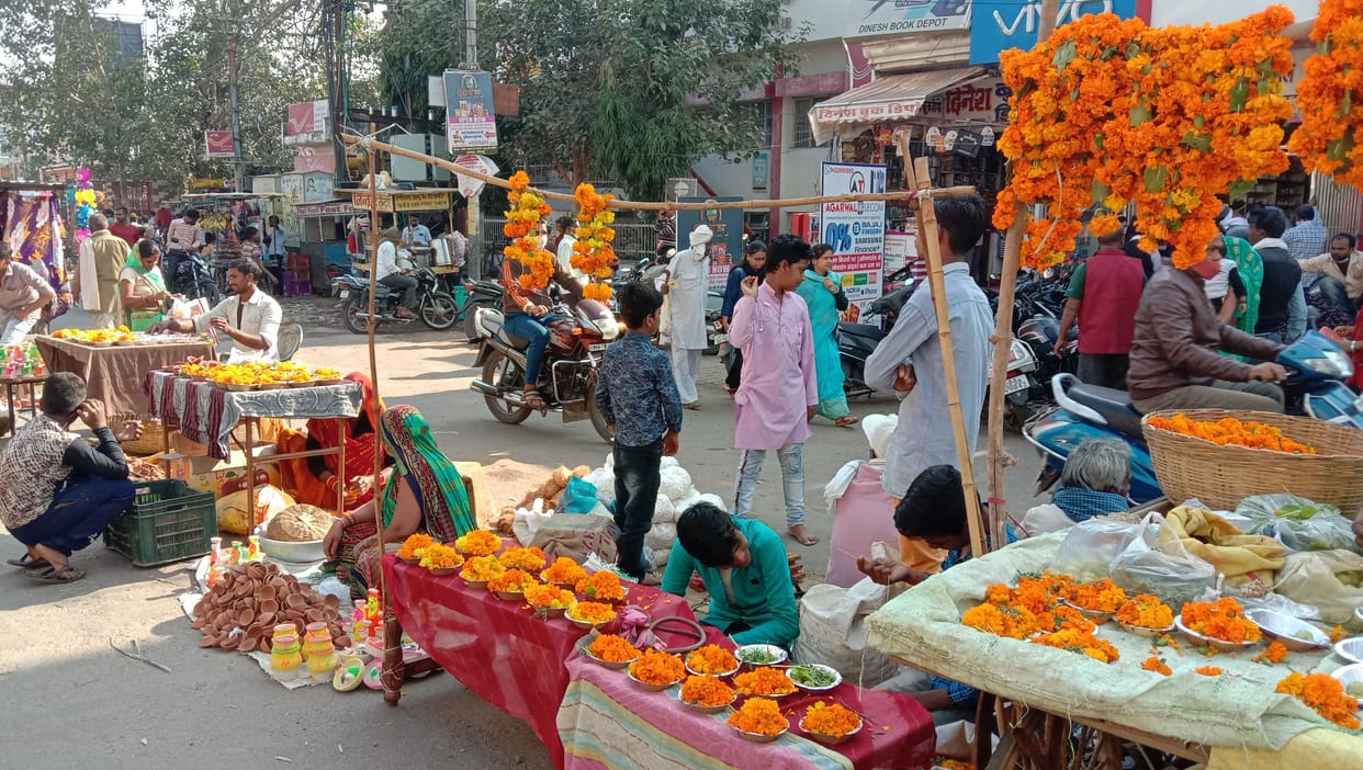 tulsi vivah marriage ritual