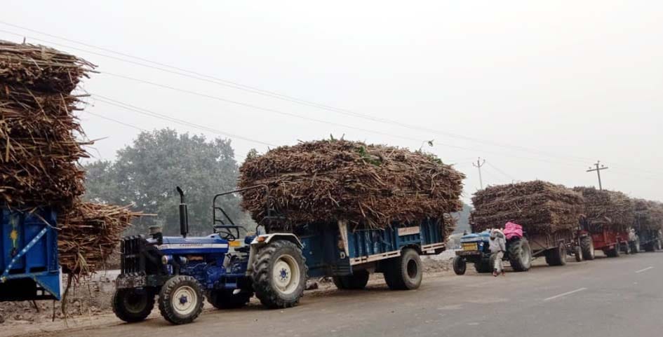 sugar cane,sugar mil