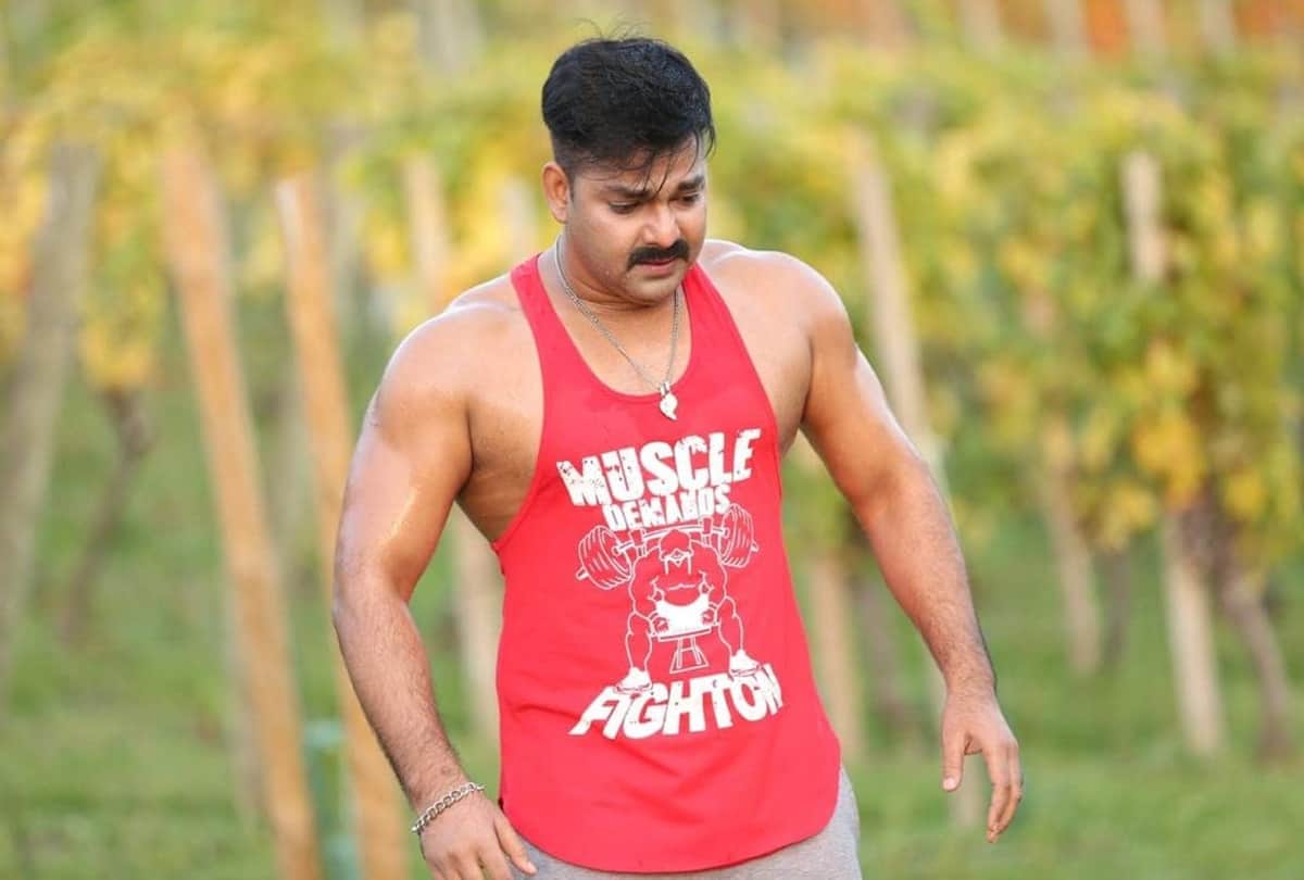 Story: Bhojpuri actor Pawan Singh once stole 10 rupees from elder brother's book, today  he is owner of crores