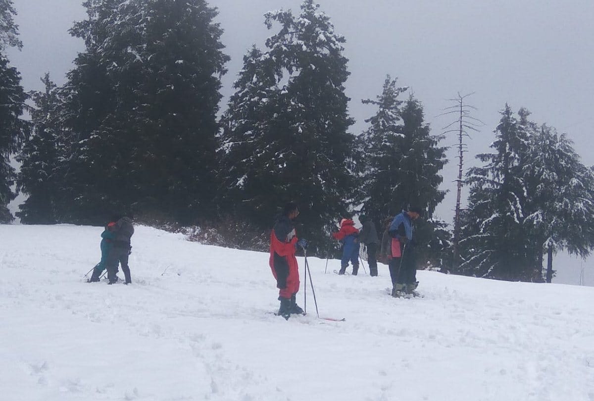 fresh snowfall in shimla kufri narkanda manali lahaul and kinnaur
