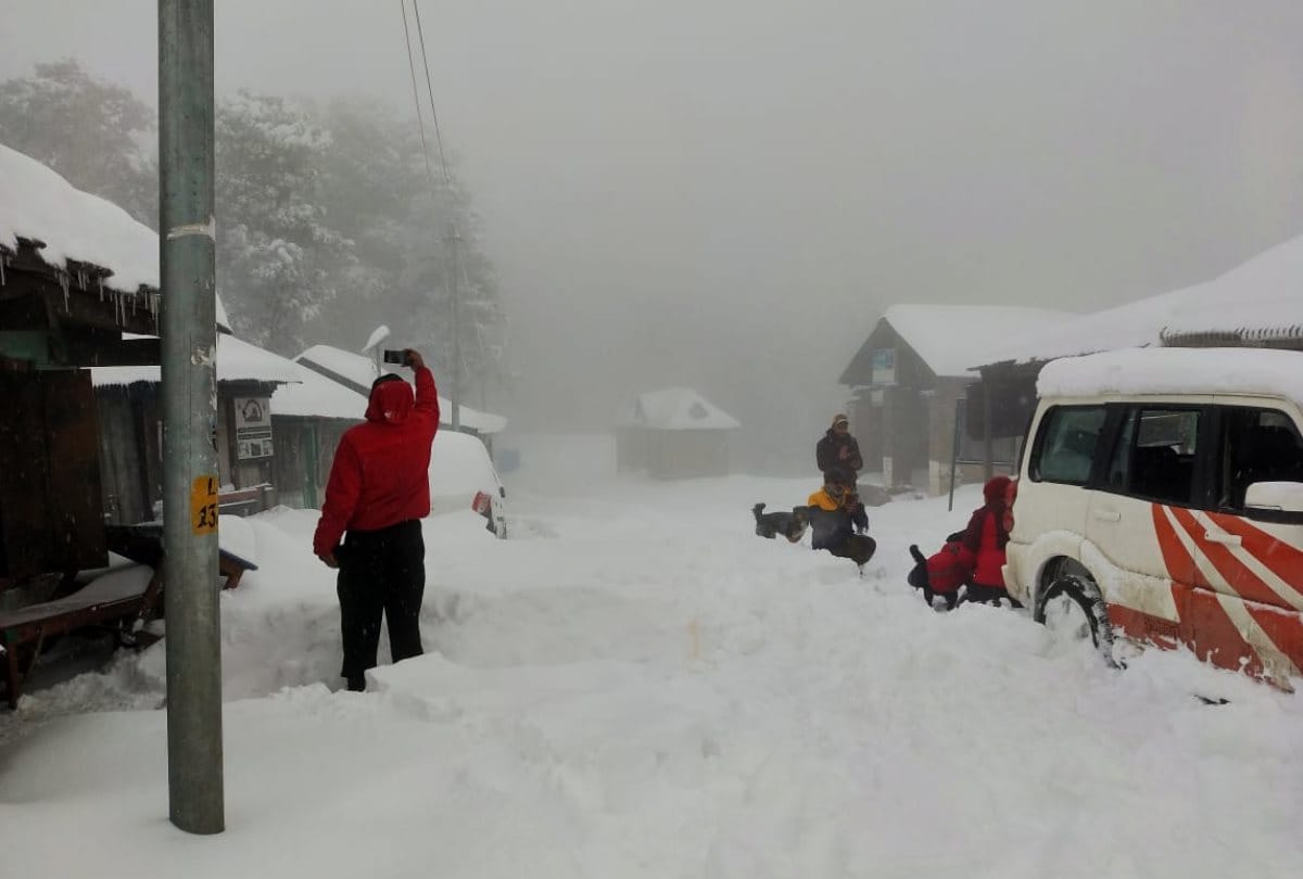 Car stuck in snowfall woman drive car in two feet snow in jalori jot himachal pradesh