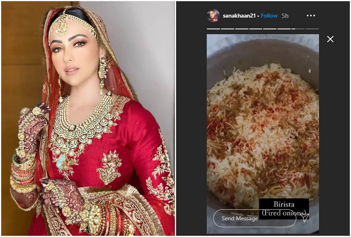 Sana Khan enjoying car riding with husband Mufti Anas Sayied, video goes viral