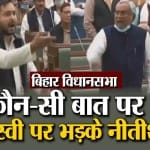 वीडियो