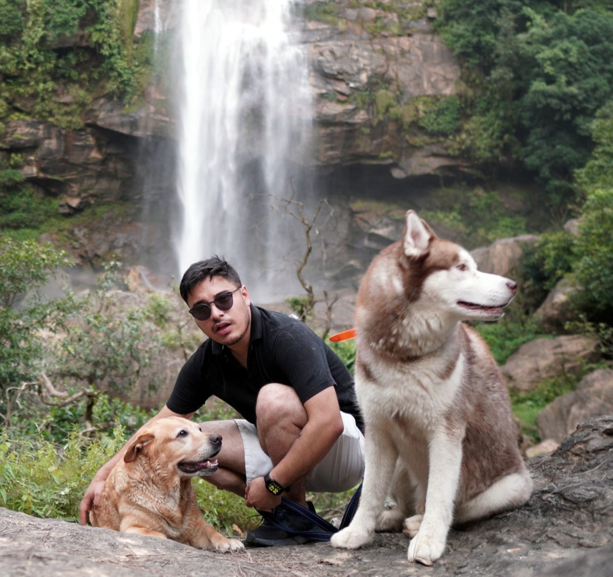 Divya, Max and Husky's trio are increasing the identity of the district