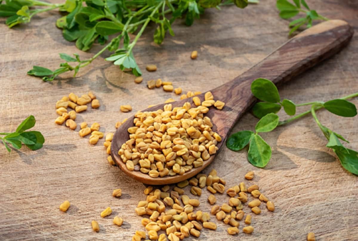 methi dana with nariyal ka tel reduce hairfall and reverse premature grey hair