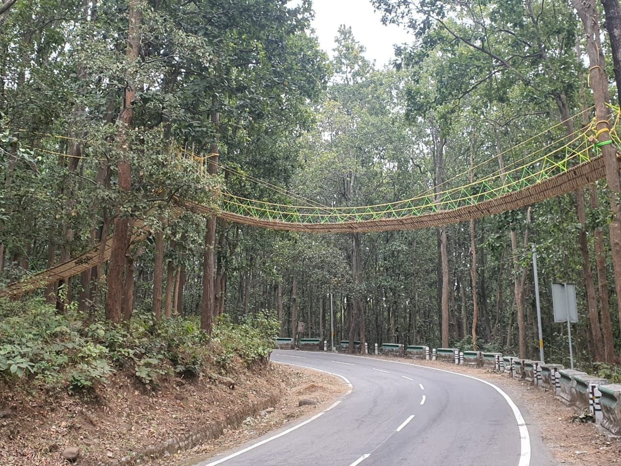 Nainital news: 70 meter long Eco Bridge ready for reptiles