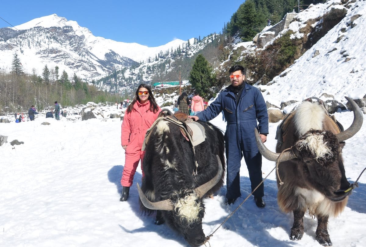 snowfall in himachal: Scenic view of snowfall images in Manali snowfall images in solang nala himachal