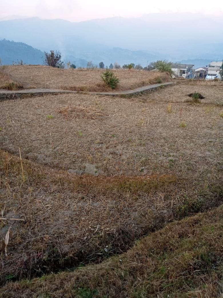 Farming in Garur